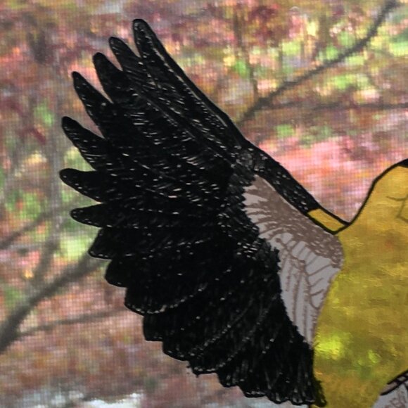 Vintage American Finch Glass Suncatcher Made in Canada - Picture 6 of 9